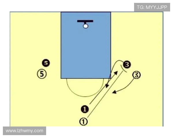 北京篮球队区域防守革新探讨与战术解析全面升级之路