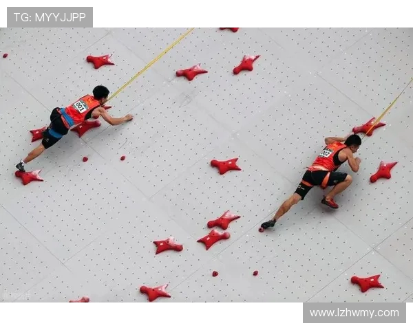 北京极限运动队在世界攀岩锦标赛中的战术分析与表现评估