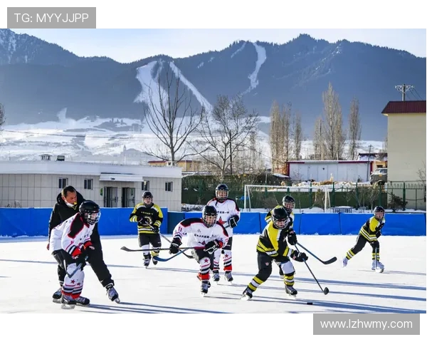 北京滑板队创历史新高滑板状态排名引发热议与关注
