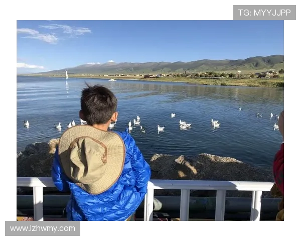 重庆排球队区域防守创新之路探索与实践分析